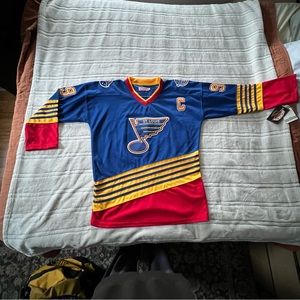 Wayne Gretzky St. Louis Blue’s Hockey Jersey